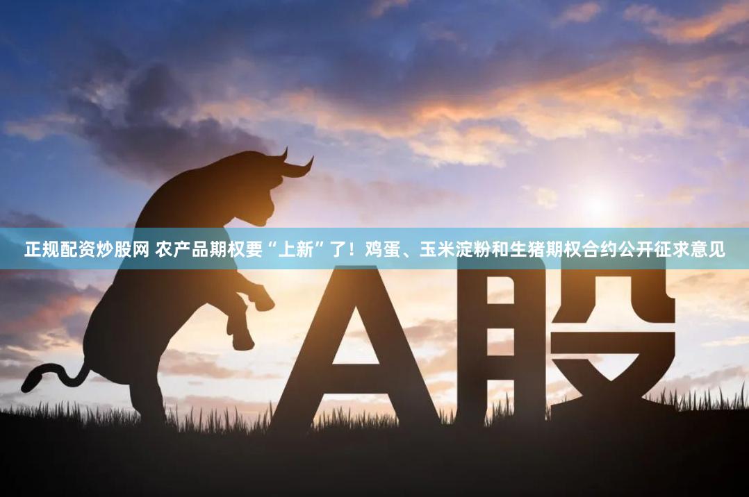正规配资炒股网 农产品期权要“上新”了！鸡蛋、玉米淀粉和生猪期权合约公开征求意见