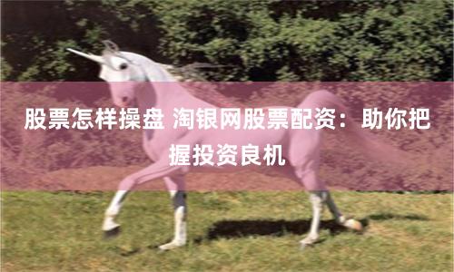 股票怎样操盘 淘银网股票配资：助你把握投资良机