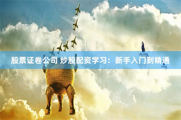 股票证卷公司 炒股配资学习：新手入门到精通