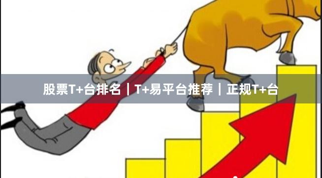 股票T+台排名｜T+易平台推荐｜正规T+台